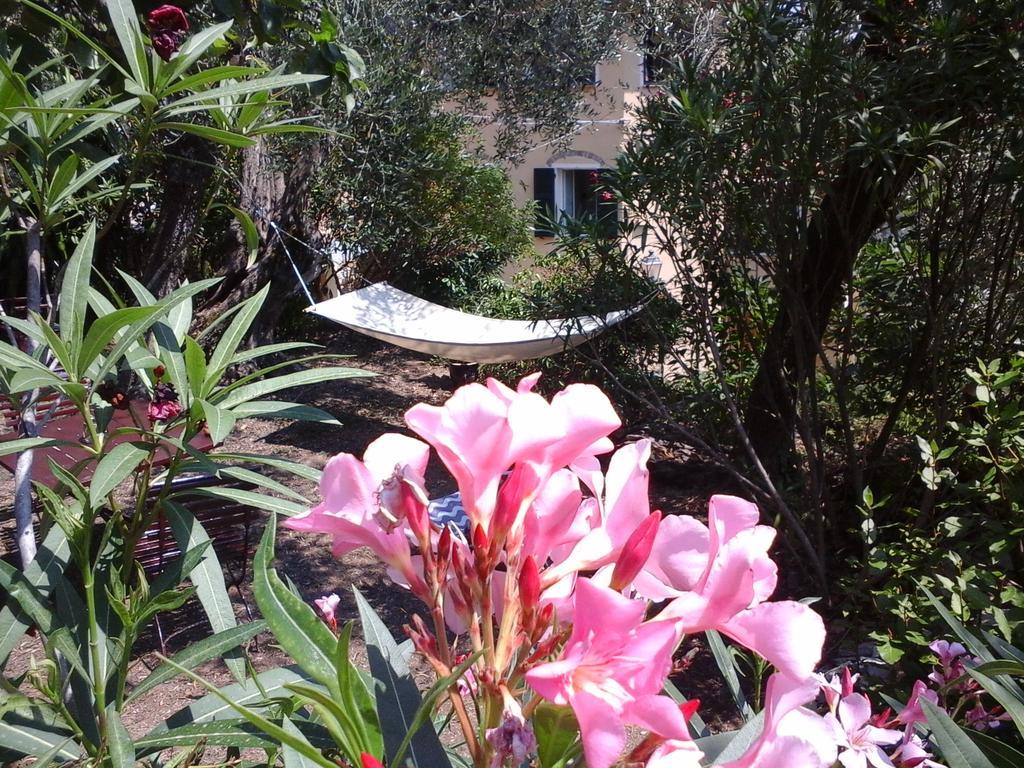 B&B Ududema Dolcedo Exterior photo